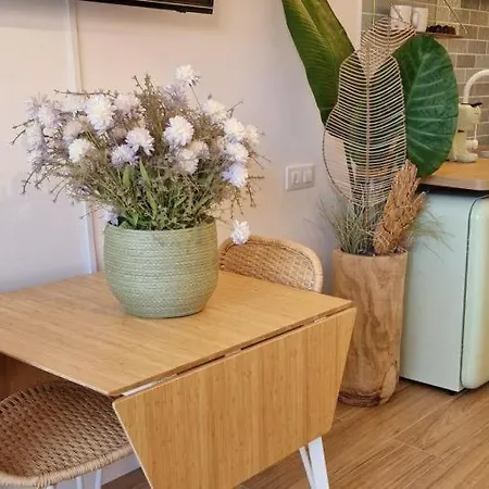 Homing Estudio 168 Cambrils